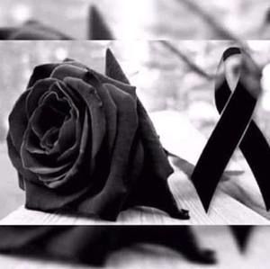 Meet your Posher, Celia